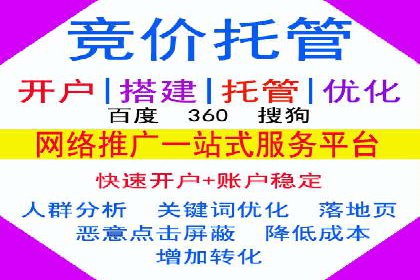 某行业SEM竞价专员的成功策略与经典案例